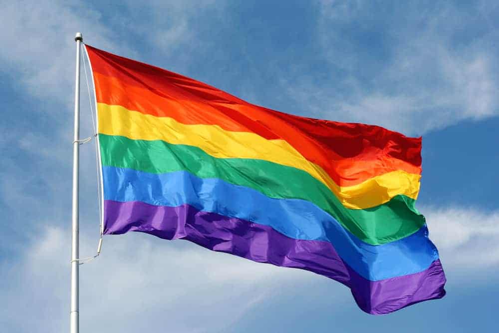 LGBT+ rainbow flag